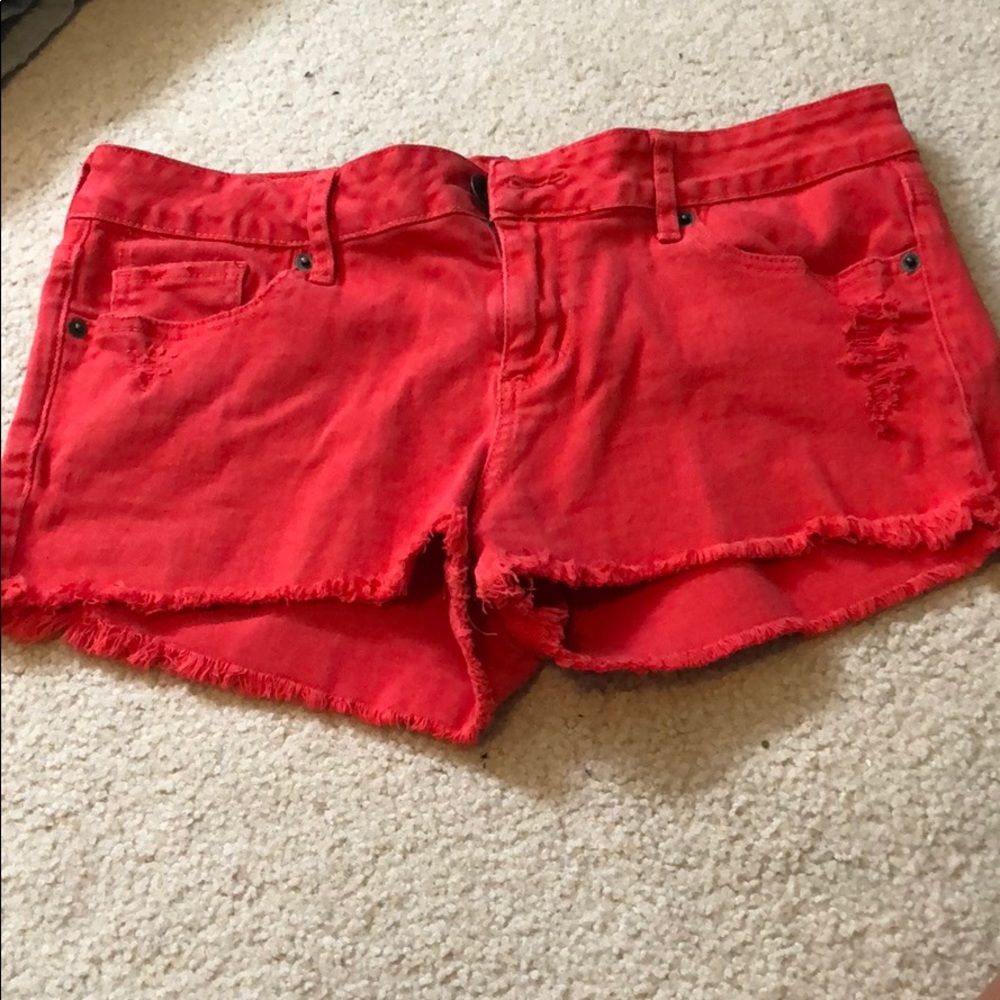 Red Bullhead Black shorts
